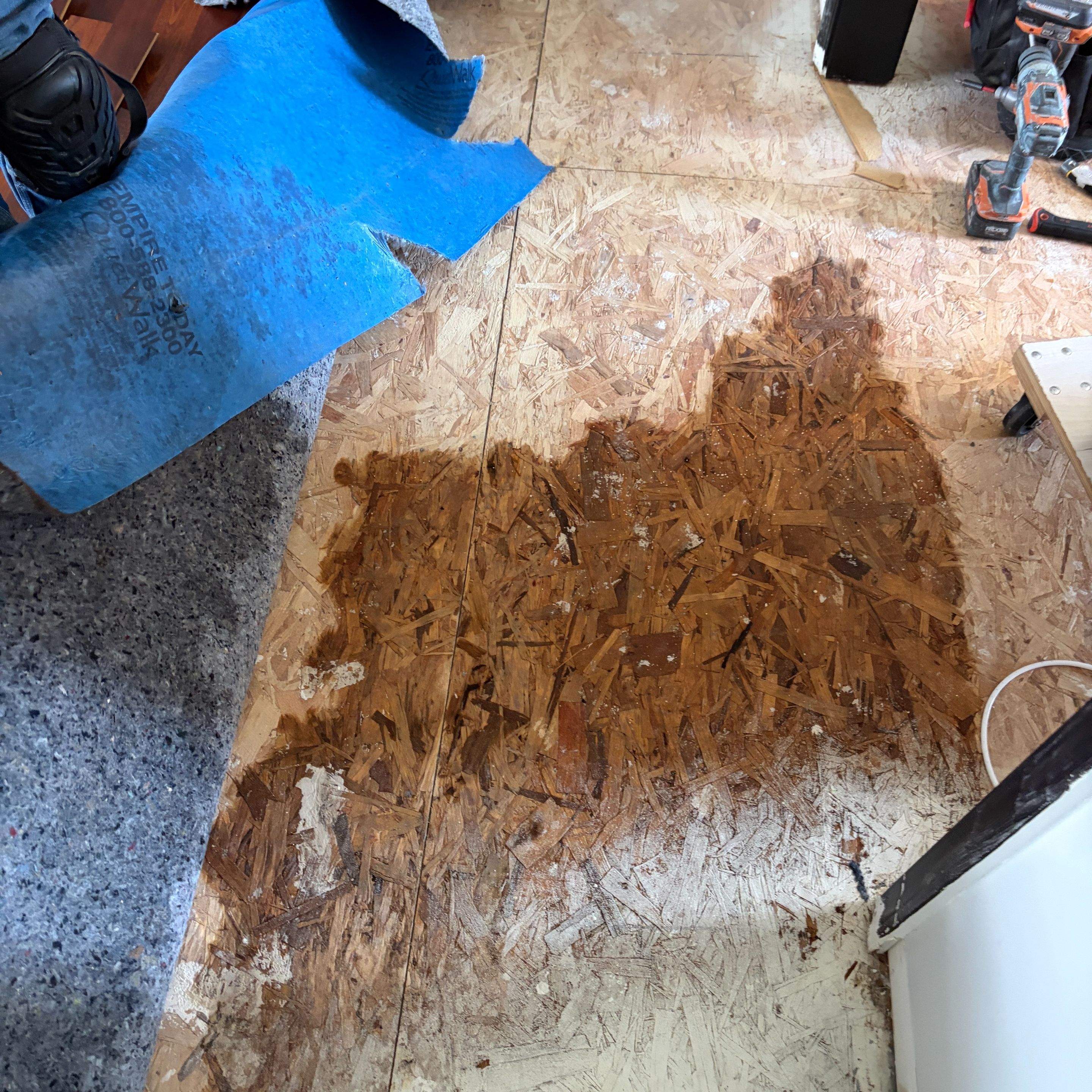 Hidden water damage
